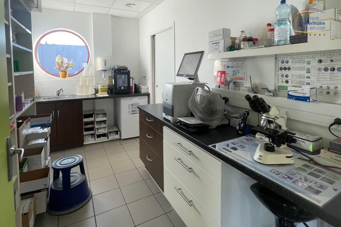 Communiqué de presse : radiation de cliniques vétérinaires