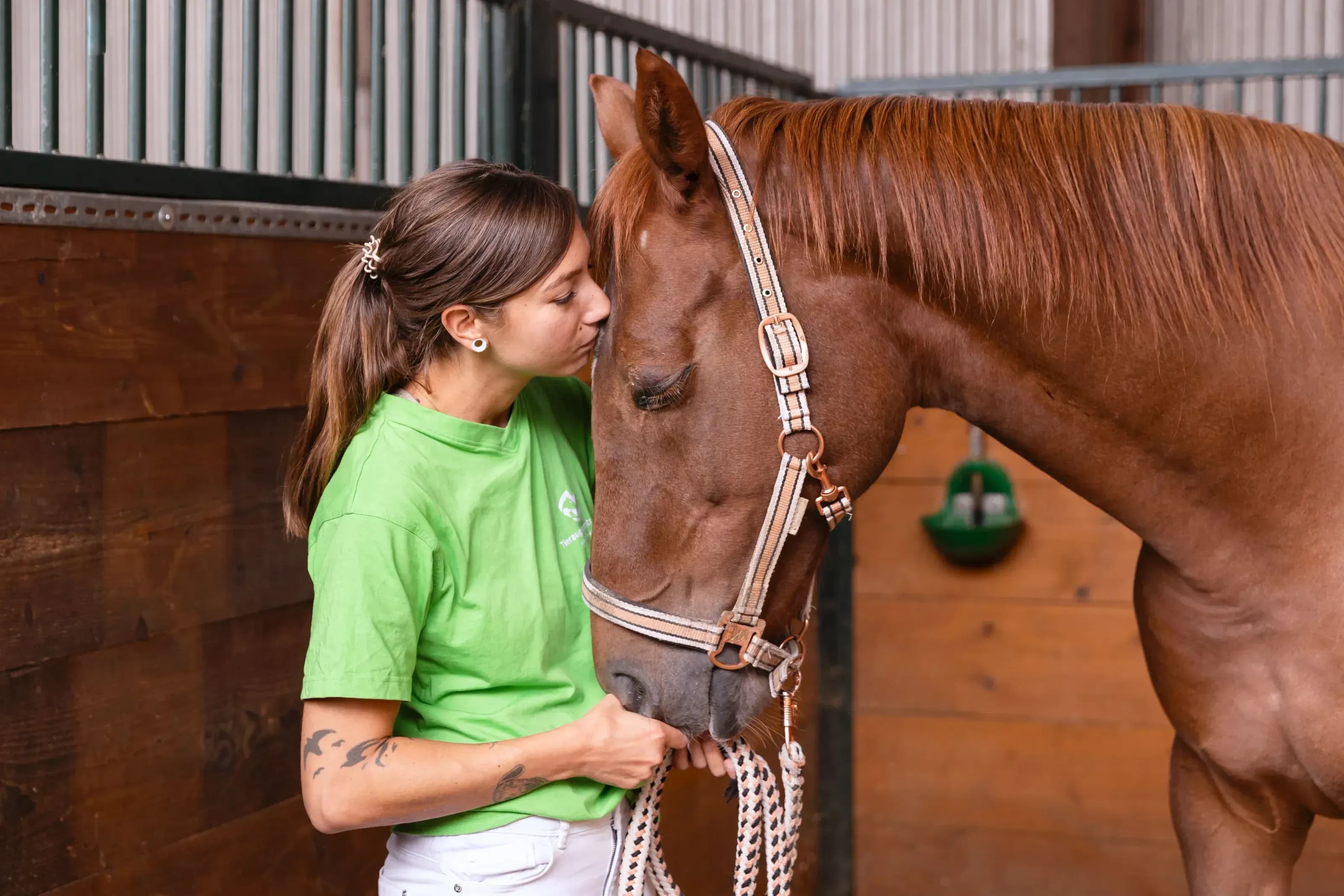 ASV chez Smartemis – contribuez activement et évoluez professionnellement au sein du réseau vétérinaire