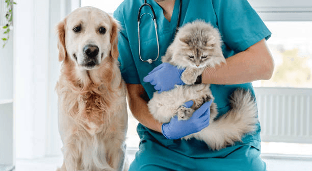 doctor holding cat