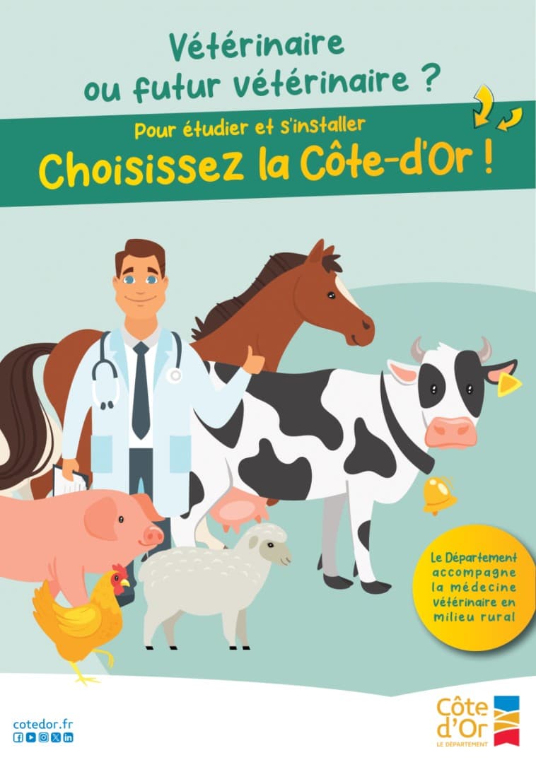 flyer-veterinaire