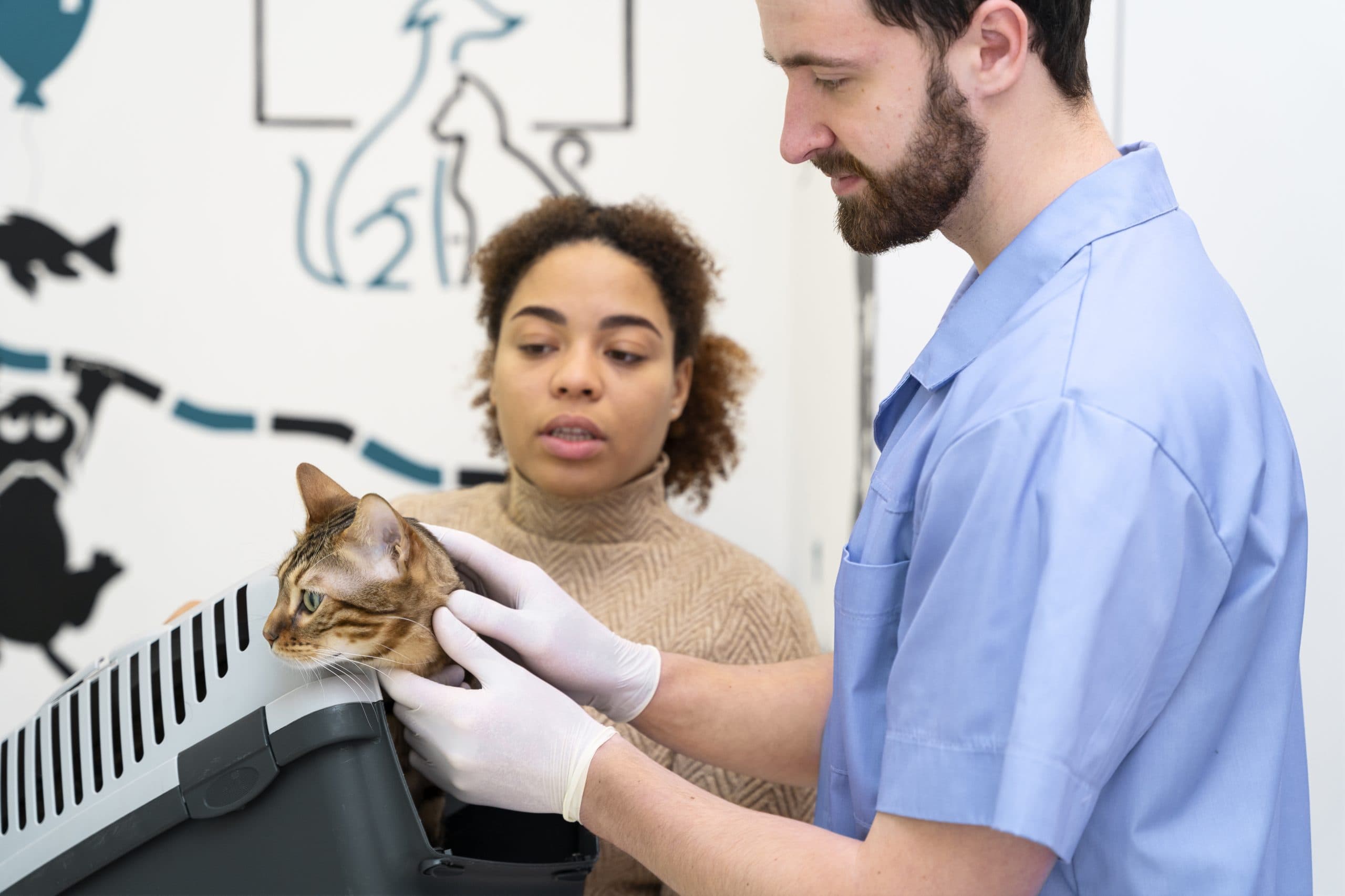 Offre de Stage : Recherche Vétérinaire Stagiaire